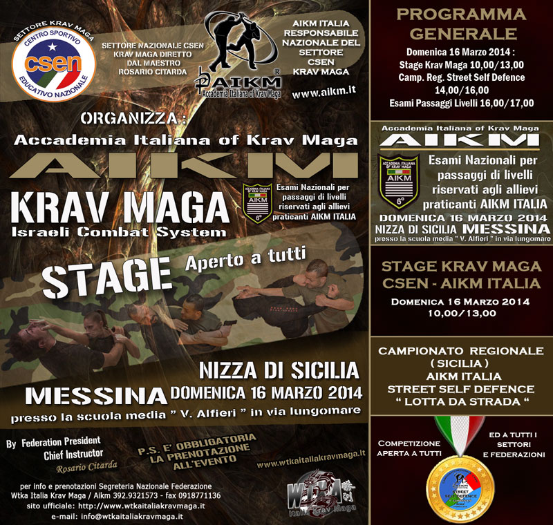krav_maga_stage_messina-2014