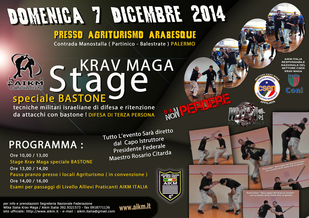 kravmaga-aikm-stage-2014