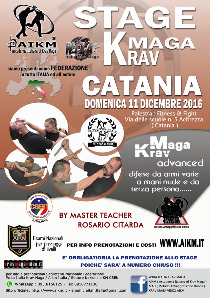 stage-kravmaga-catania-800