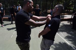 stage-kravmaga-aikm (54)